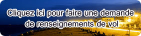 Voyages agent à Paris Fournir des services de réservation de vol